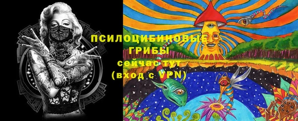 прущая мука Богородск
