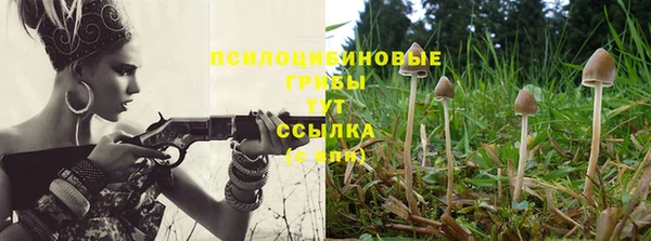 не бодяженный Белокуриха