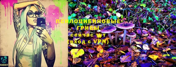 не бодяженный Белокуриха
