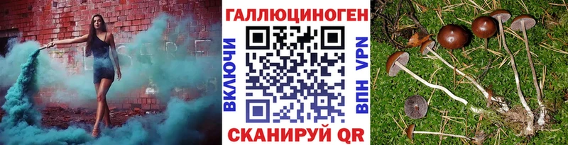 Галлюциногенные грибы ЛСД  мега маркетплейс  Кирс 